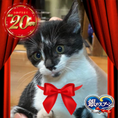 デビュー 画像2