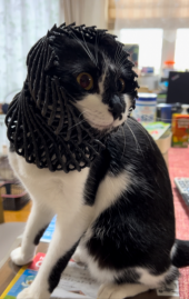 ふるやのもり 画像1