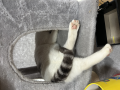 今度こそ