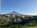 寒がり