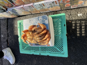 蟹 画像2