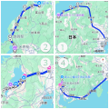 証拠