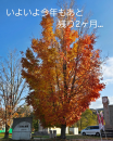 模様替え