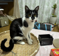 歯医者さんで溺れる
