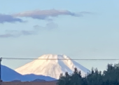 全てあげよう♪ 画像2