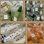 三浦野菜 画像1