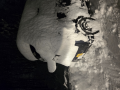 雪景色