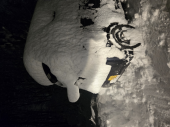 雪景色 画像3