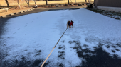 朝霧は雪でした 画像1
