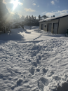 ずっと雪