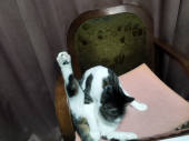 no title 画像2
