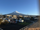 やっと、ゴールド免許 画像1