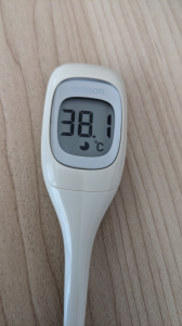 発熱 と LAの山火事 画像1