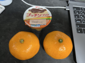 1月16日（木）晴れ 画像1