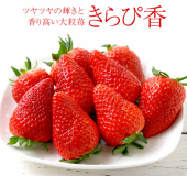 JAふじ伊豆 画像1