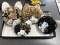 ねこねこねこ