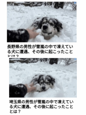 耳鼻科＆フーコット と いい加減広告 画像1