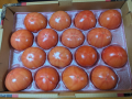 北千束でボーっ と トマト一箱