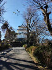 小田原城 画像1