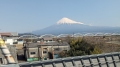 スジャータ と 四天王寺