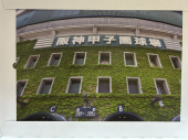 甲子園 画像2