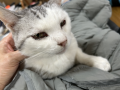 ぷうちゃん②