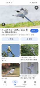オナガ と ガビチョウ 画像1