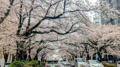 太るのは簡単!? 画像1