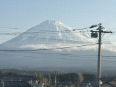 咀嚼したい 画像1