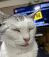 長過ぎた冬眠 画像1