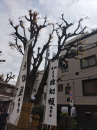 楽しかった一日