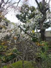 楽しかった一日 画像2