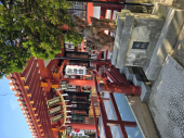 沖縄から帰ってきたのに 画像2