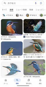 カワセミだ！ と 咳止め薬で(=_=) 画像1