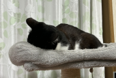 久々の 画像1