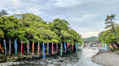 富士の裾野 画像2