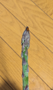アスパラ と 洗濯槽クリーニング
