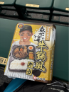 甲子園阪神巨人戦