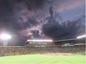 甲子園球場　阪神対ヤクルト戦 画像1