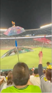 甲子園球場　阪神対ヤクルト戦 画像2