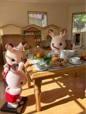 孫娘とシルベニアパーク 画像3