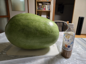 49日 画像2