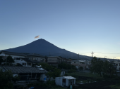 蚊にやられる 画像1