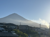 蚊にやられる 画像2