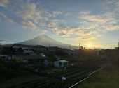 ブリザードフラワー＆夕飯のおかず 画像2