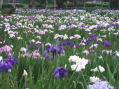 火曜／写真撮影／晴れ 画像3