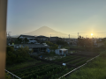 今週が終われば夏休み