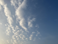 夏の日♪