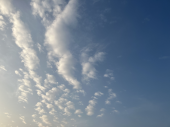 夏の日♪ 画像1