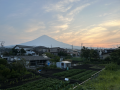 時計を洗う